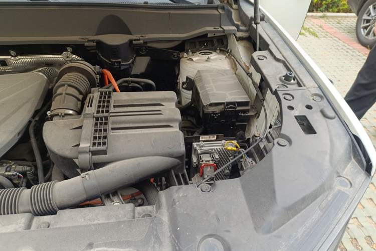 Used Haval H Dog New Energy 2023 DHT-PHEV 105km Tide Electric Version Plus Engine Bay Left