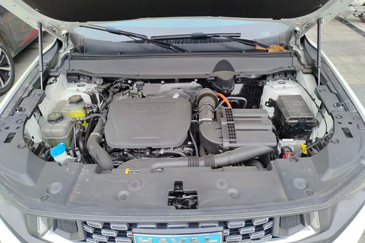 Used Haval H Dog New Energy 2023 DHT-PHEV 105km Tide Electric Version Plus Engine Bay