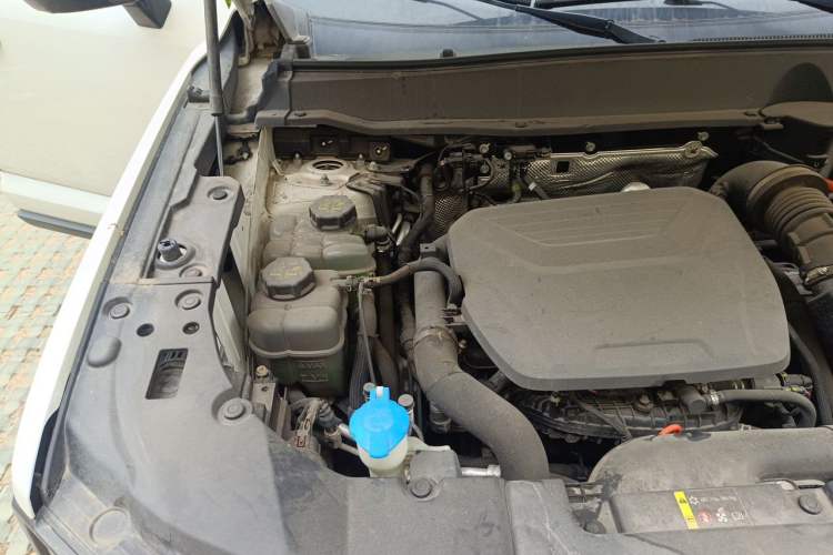 Used Haval H Dog New Energy 2023 DHT-PHEV 105km Tide Electric Version Plus Engine Bay Right