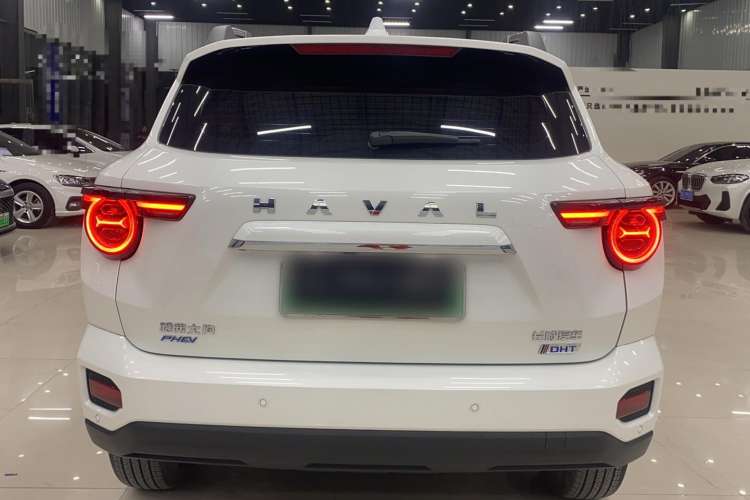 Used Haval H Dog New Energy 2023 DHT-PHEV 105km Tide Electric Version Plus Exterior 1
