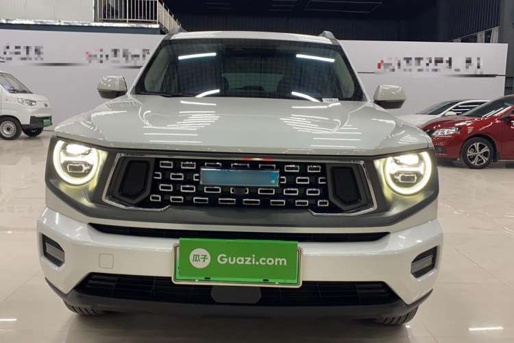 Used Haval H Dog New Energy 2023 DHT-PHEV 105km Tide Electric Version Plus Exterior 2