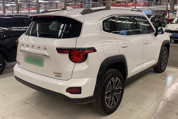 Used Haval H Dog New Energy 2023 DHT-PHEV 105km Tide Electric Version Plus Exterior 3