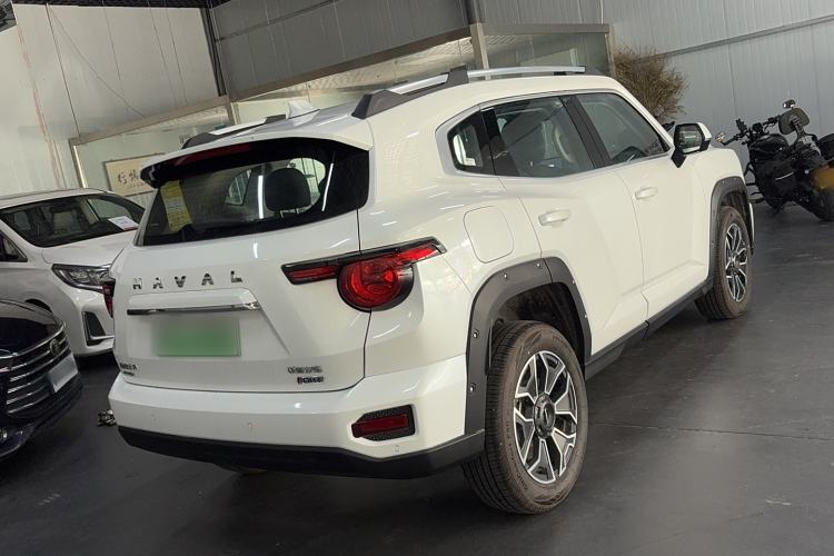 Used Haval H Dog New Energy 2023 DHT-PHEV 105km Tide Electric Version Plus Exterior 3