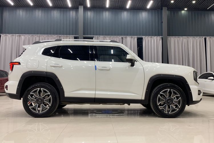 Used Haval H Dog New Energy 2023 DHT-PHEV 105km Tide Electric Version Plus Exterior 3