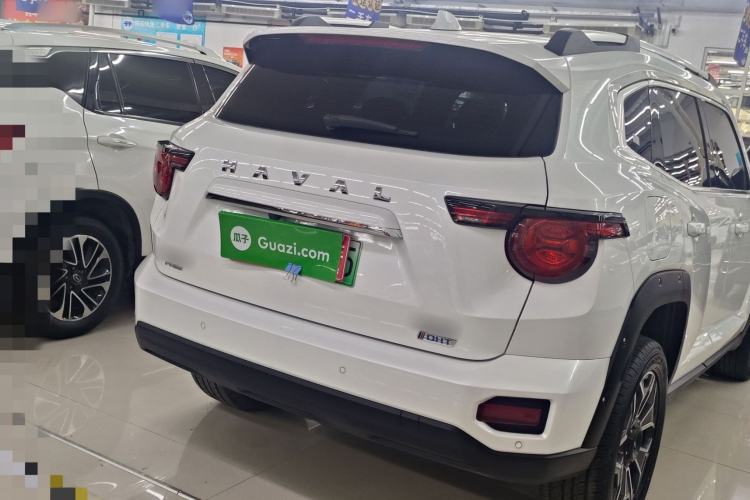 Used Haval H Dog New Energy 2023 DHT-PHEV 105km Tide Electric Version Plus Exterior 5