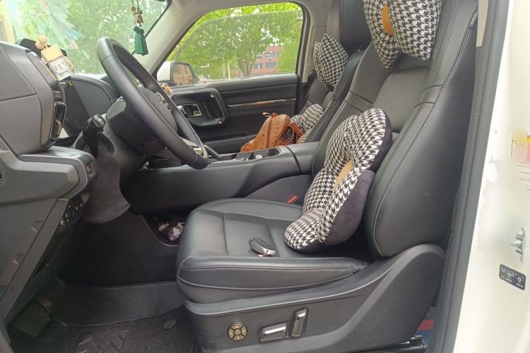 Used Haval H Dog New Energy 2023 DHT-PHEV 105km Tide Electric Version Plus Left Front Seat