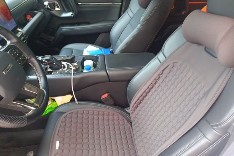 Used Haval H Dog New Energy 2023 DHT-PHEV 105km Tide Electric Version Plus Left Front Seat