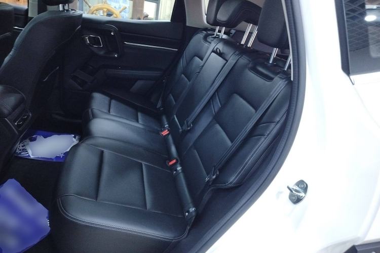 Used Haval H Dog New Energy 2023 DHT-PHEV 105km Tide Electric Version Plus Left Rear Seat