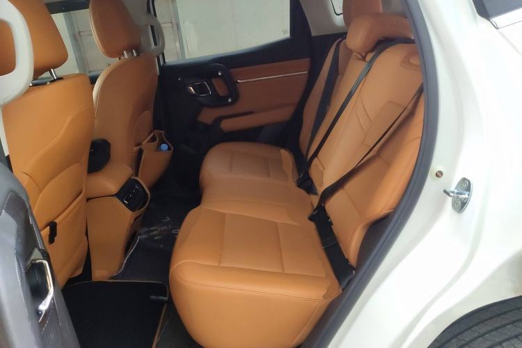 Used Haval H Dog New Energy 2023 DHT-PHEV 105km Tide Electric Version Plus Left Rear Seat