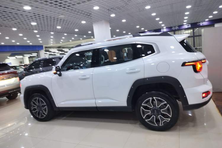Used Haval H Dog New Energy 2023 DHT-PHEV 105km Tide Electric Version Plus Left Side