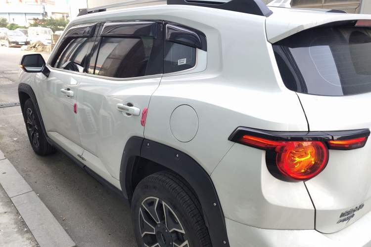 Used Haval H Dog New Energy 2023 DHT-PHEV 105km Tide Electric Version Plus Left Side