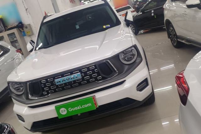 Ojetý Haval H Dog New Energy 2023 DHT-PHEV 105km Tide Electric Version Plus