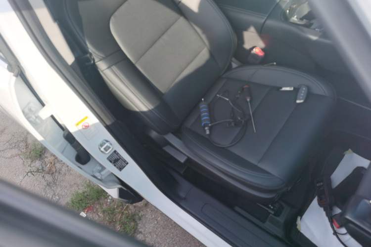 Used Haval H Dog New Energy 2023 DHT-PHEV 105km Trend Electric Edition Right Front Seat