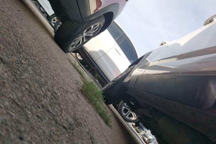 Used Haval H Dog New Energy 2023 DHT-PHEV 105km Trend Electric Edition Right Side Sill