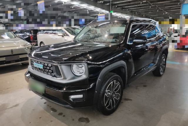 Haval H Dog New Energy 2024 Hi4 102km Trend Electric Version Plus usata
