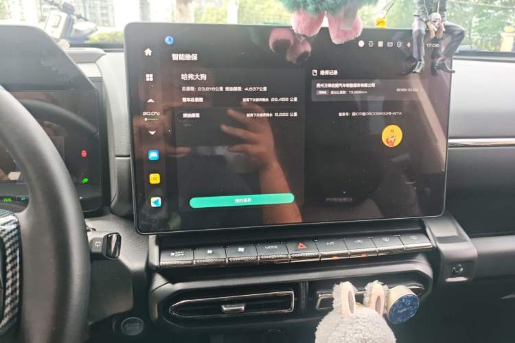 Used Haval H Dog New Energy 2024 Hi4 102km Trend Electric Version Plus Audio And AC Panel
