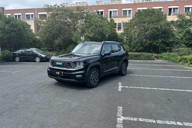 Haval H Dog New Energy 2024 Hi4 102km Trend Electric Version Plus usata