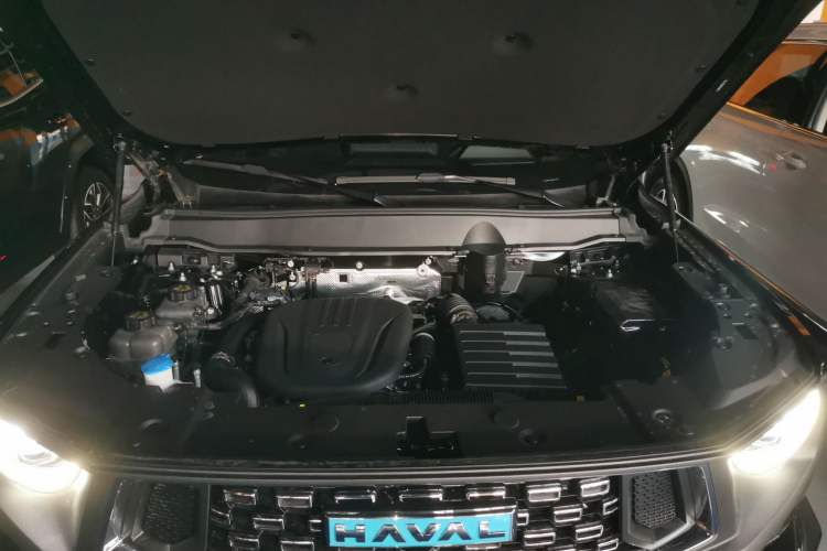 Used Haval H Dog New Energy 2024 Hi4 102km Trend Electric Version Plus Engine Bay