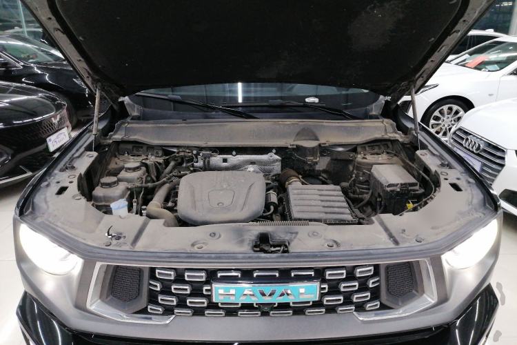 Used Haval H Dog New Energy 2024 Hi4 102km Trend Electric Version Plus Engine Bay