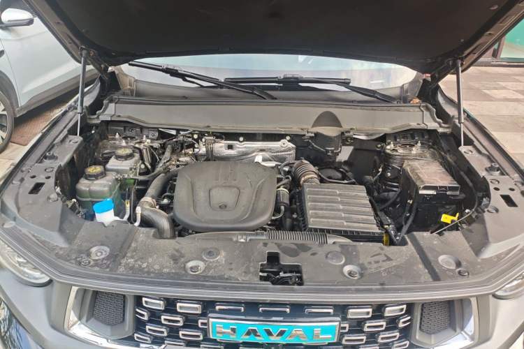 Used Haval H Dog New Energy 2024 Hi4 102km Trend Electric Version Plus Engine Bay