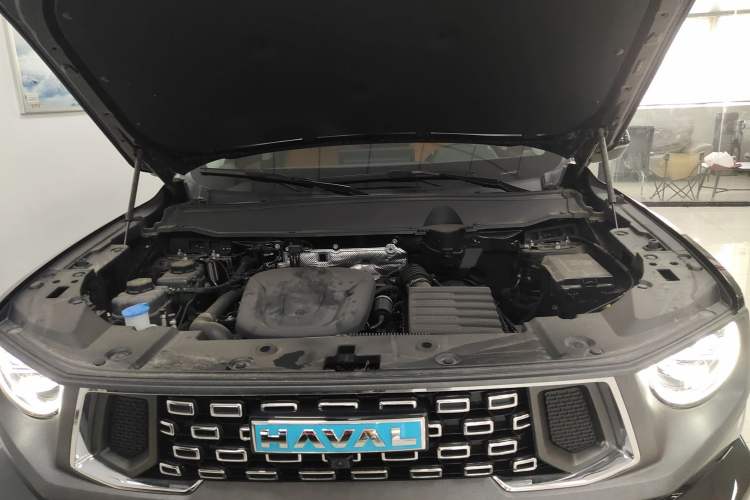 Used Haval H Dog New Energy 2024 Hi4 102km Trend Electric Version Plus Engine Bay
