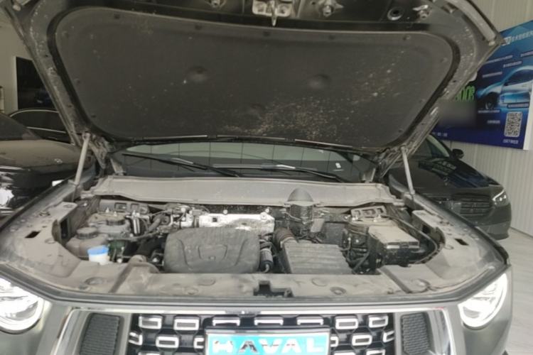 Used Haval H Dog New Energy 2024 Hi4 102km Trend Electric Version Plus Engine Bay
