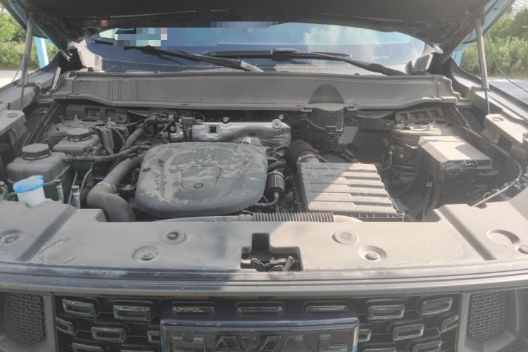 Used Haval H Dog New Energy 2024 Hi4 102km Trend Electric Version Plus Engine Bay
