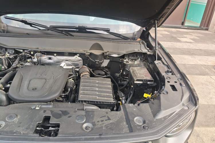 Used Haval H Dog New Energy 2024 Hi4 102km Trend Electric Version Plus Engine Bay Left