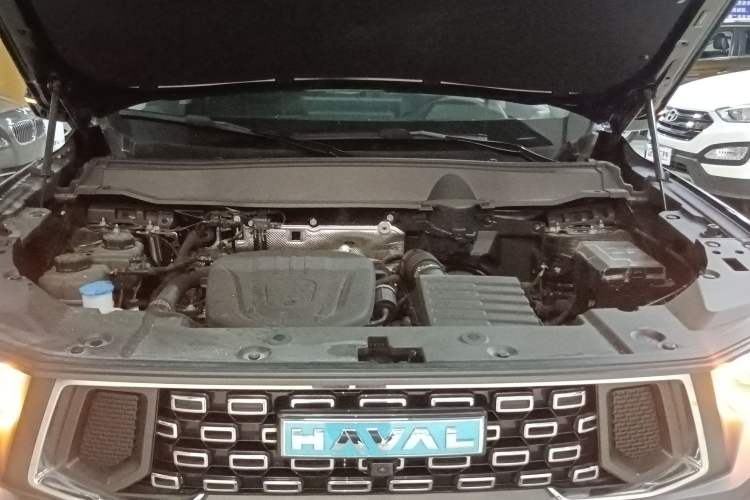 Used Haval H Dog New Energy 2024 Hi4 102km Trend Electric Version Plus Engine Bay
