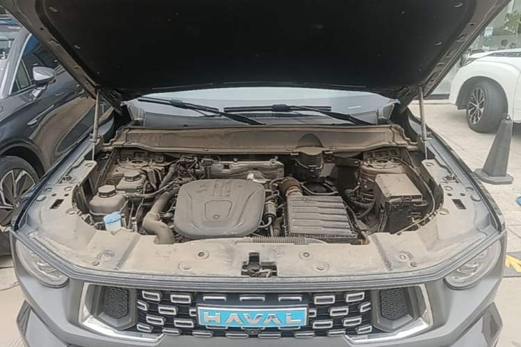 Used Haval H Dog New Energy 2024 Hi4 102km Trend Electric Version Plus Engine Bay