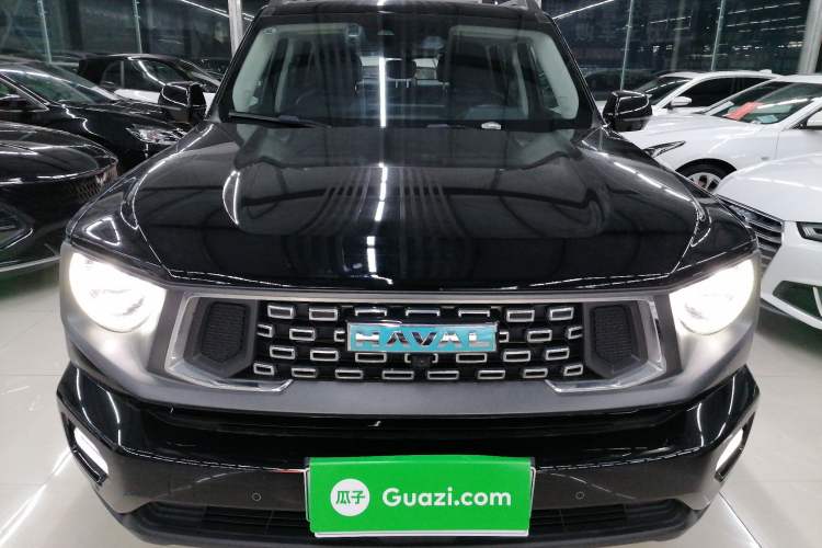 Used Haval H Dog New Energy 2024 Hi4 102km Trend Electric Version Plus Exterior 1