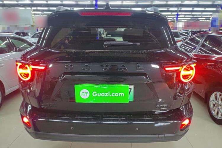 Used Haval H Dog New Energy 2024 Hi4 102km Trend Electric Version Plus Exterior 2