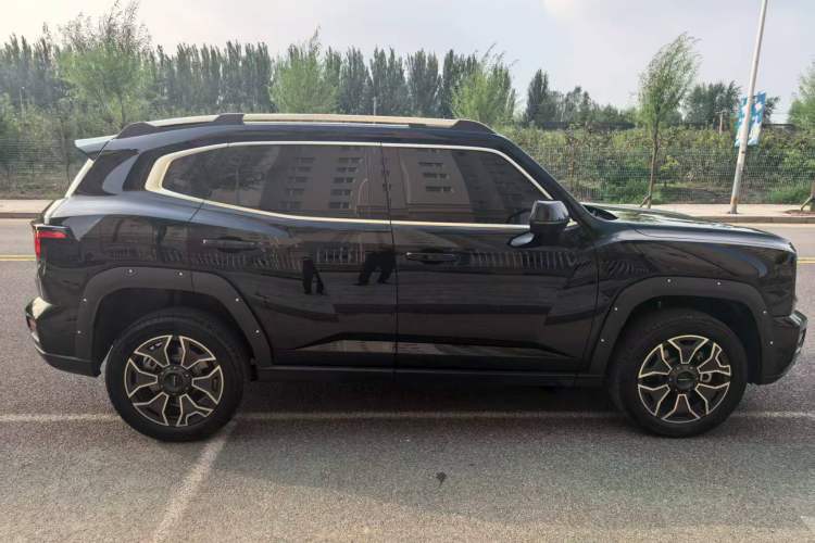 Used Haval H Dog New Energy 2024 Hi4 102km Trend Electric Version Plus Exterior 2