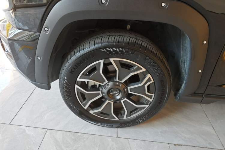 Used Haval H Dog New Energy 2024 Hi4 102km Trend Electric Version Plus Exterior 4