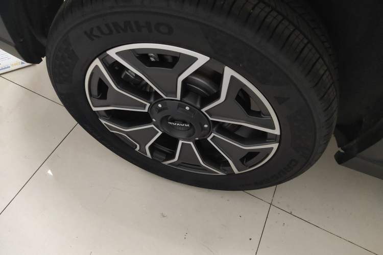 Used Haval H Dog New Energy 2024 Hi4 102km Trend Electric Version Plus Exterior 8