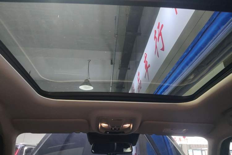 Used Haval H Dog New Energy 2024 Hi4 102km Trend Electric Version Plus Headliner