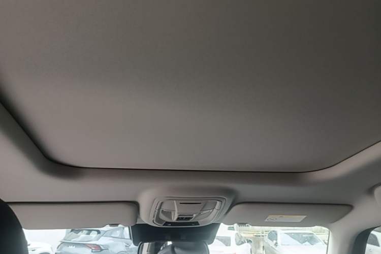 Used Haval H Dog New Energy 2024 Hi4 102km Trend Electric Version Plus Headliner
