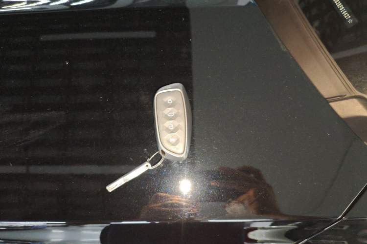Used Haval H Dog New Energy 2024 Hi4 102km Trend Electric Version Plus Interior 1