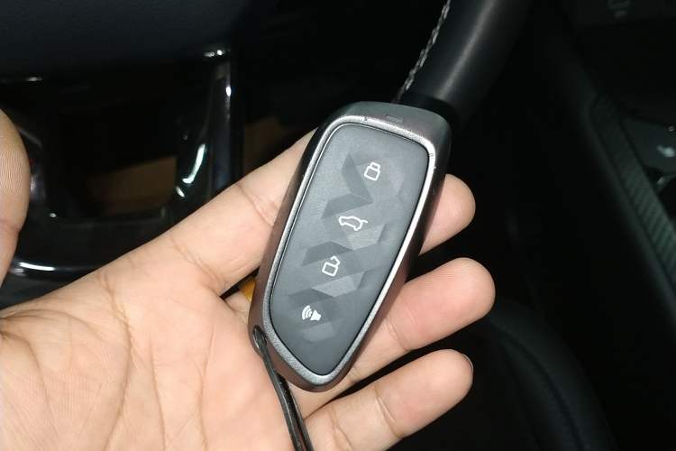 Used Haval H Dog New Energy 2024 Hi4 102km Trend Electric Version Plus Interior 1