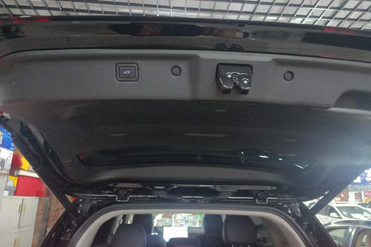 Used Haval H Dog New Energy 2024 Hi4 102km Trend Electric Version Plus Interior 7
