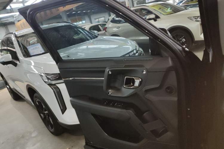 Used Haval H Dog New Energy 2024 Hi4 102km Trend Electric Version Plus Left Front Door Interior