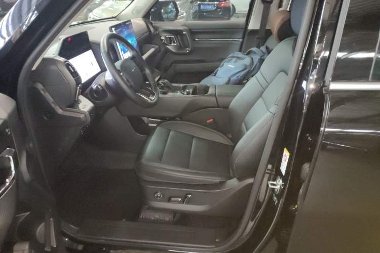 Used Haval H Dog New Energy 2024 Hi4 102km Trend Electric Version Plus Left Front Seat