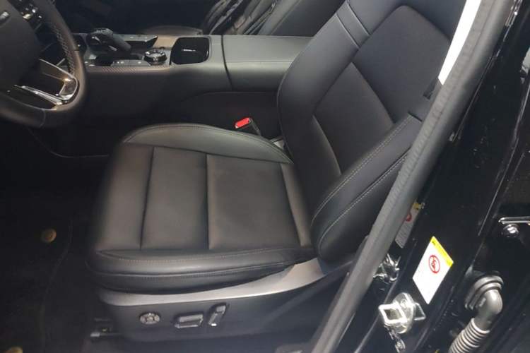 Used Haval H Dog New Energy 2024 Hi4 102km Trend Electric Version Plus Left Front Seat