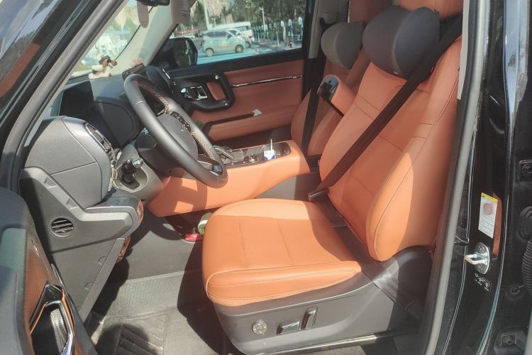 Used Haval H Dog New Energy 2024 Hi4 102km Trend Electric Version Plus Left Front Seat