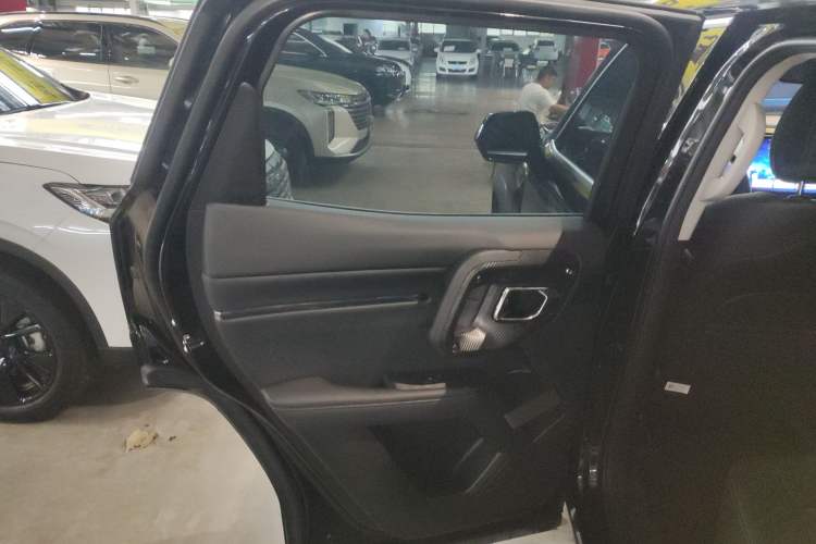 Used Haval H Dog New Energy 2024 Hi4 102km Trend Electric Version Plus Left Rear Door Interior