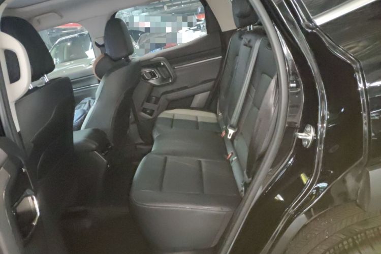 Used Haval H Dog New Energy 2024 Hi4 102km Trend Electric Version Plus Left Rear Seat