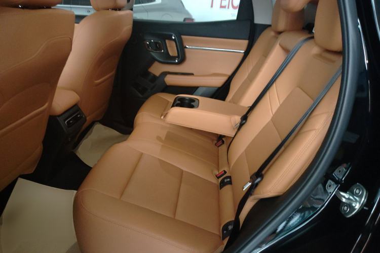 Used Haval H Dog New Energy 2024 Hi4 102km Trend Electric Version Plus Left Rear Seat