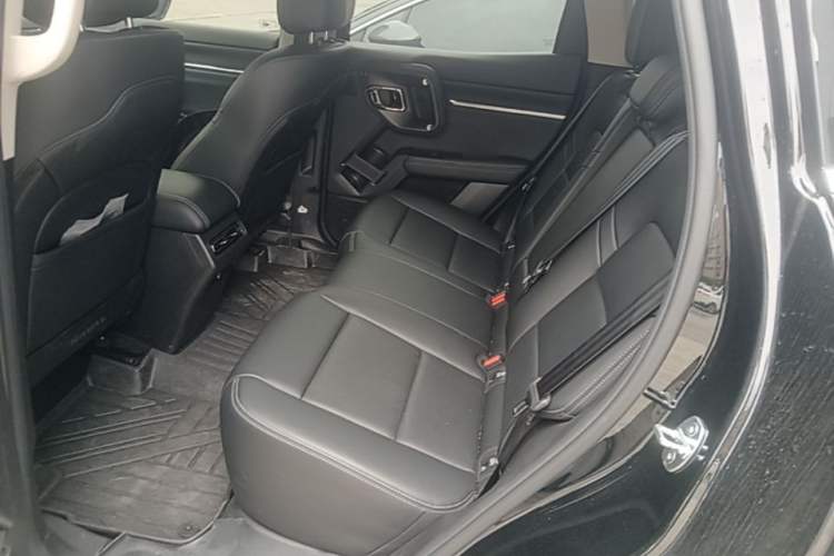 Used Haval H Dog New Energy 2024 Hi4 102km Trend Electric Version Plus Left Rear Seat