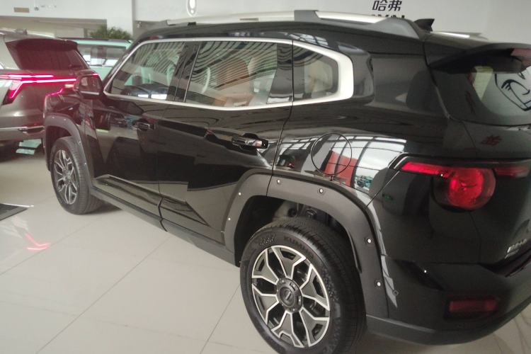 Used Haval H Dog New Energy 2024 Hi4 102km Trend Electric Version Plus Left Side