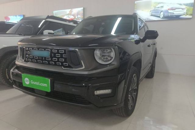 Used Haval H Dog New Energy 2024 Hi4 102km Trend Electric Version Plus